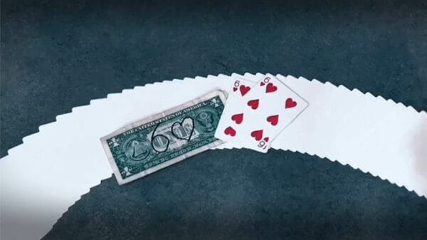 DEAL OR NOT DEAL (Gimmick and Online Instructions) by Mickael Chatelain - Image 5