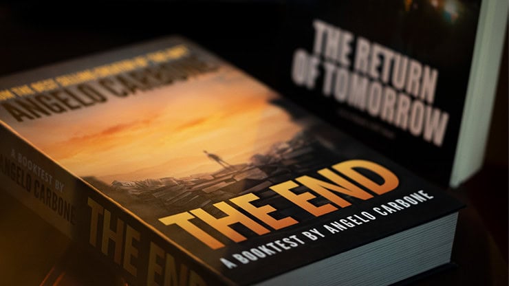 A captivating sunset over a rocky coastline with a person standing, illustrating "The End" book cove.
