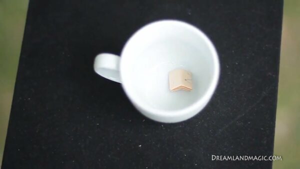 Vertigo Prediction Trick- Gimmicks Included | Bazar de Magia - Image 3
