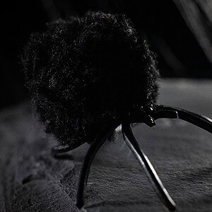 Close-up of a black spider prop used in magic illusions.