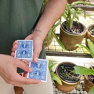 Close-up of a person performing card magic outdoors with potted plants in the background.