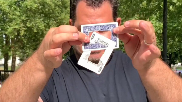 Linkcard 2 Cards Linked Magic Trick
