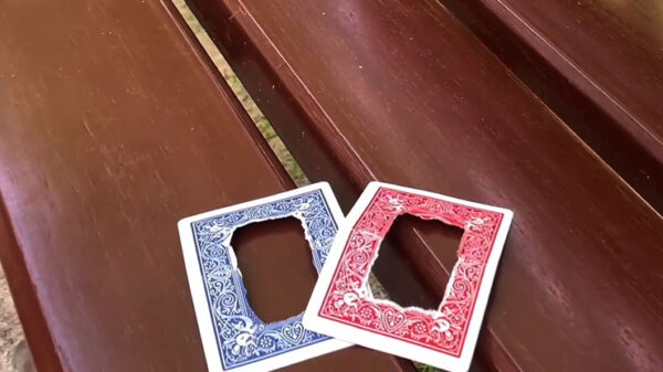 Link double cards