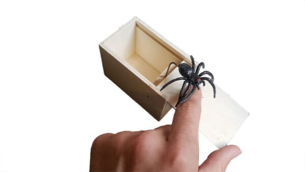 Spider Box - Prank & Scare People - Wooden